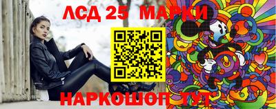 спиды Кимры