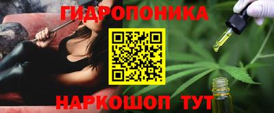 спиды Кимры