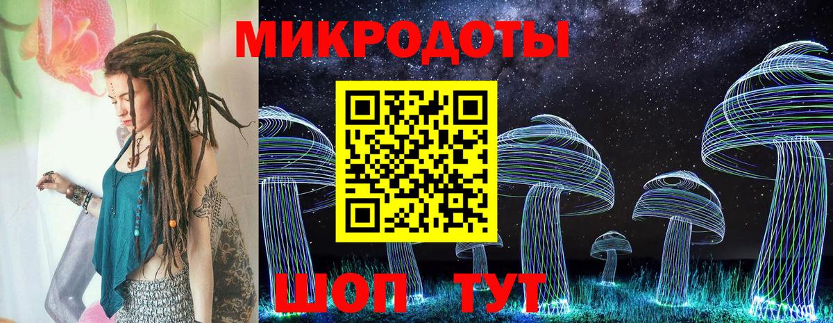 Галлюциногенные грибы Cubensis Королёв
