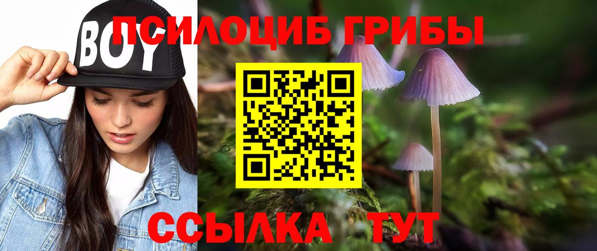 Королёв  Псилоцибиновые грибы ЛСД  Вход с VPN 